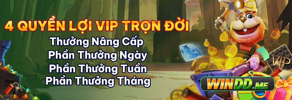 windd vip